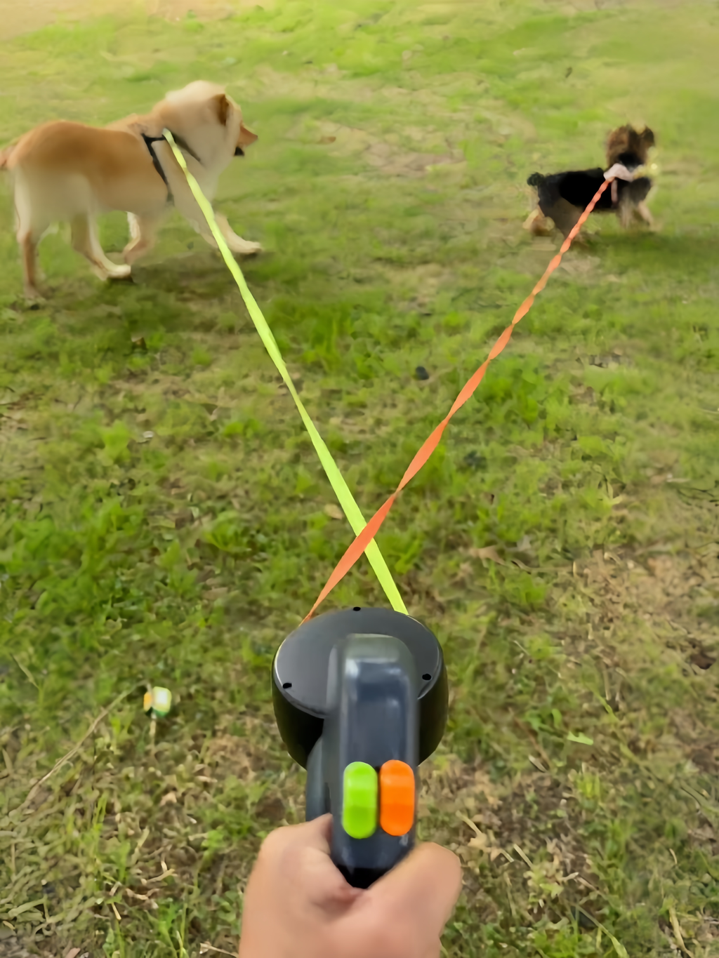 Retractable Dual Dog Leash – Anti-Tangle Double Leash for Two Dogs