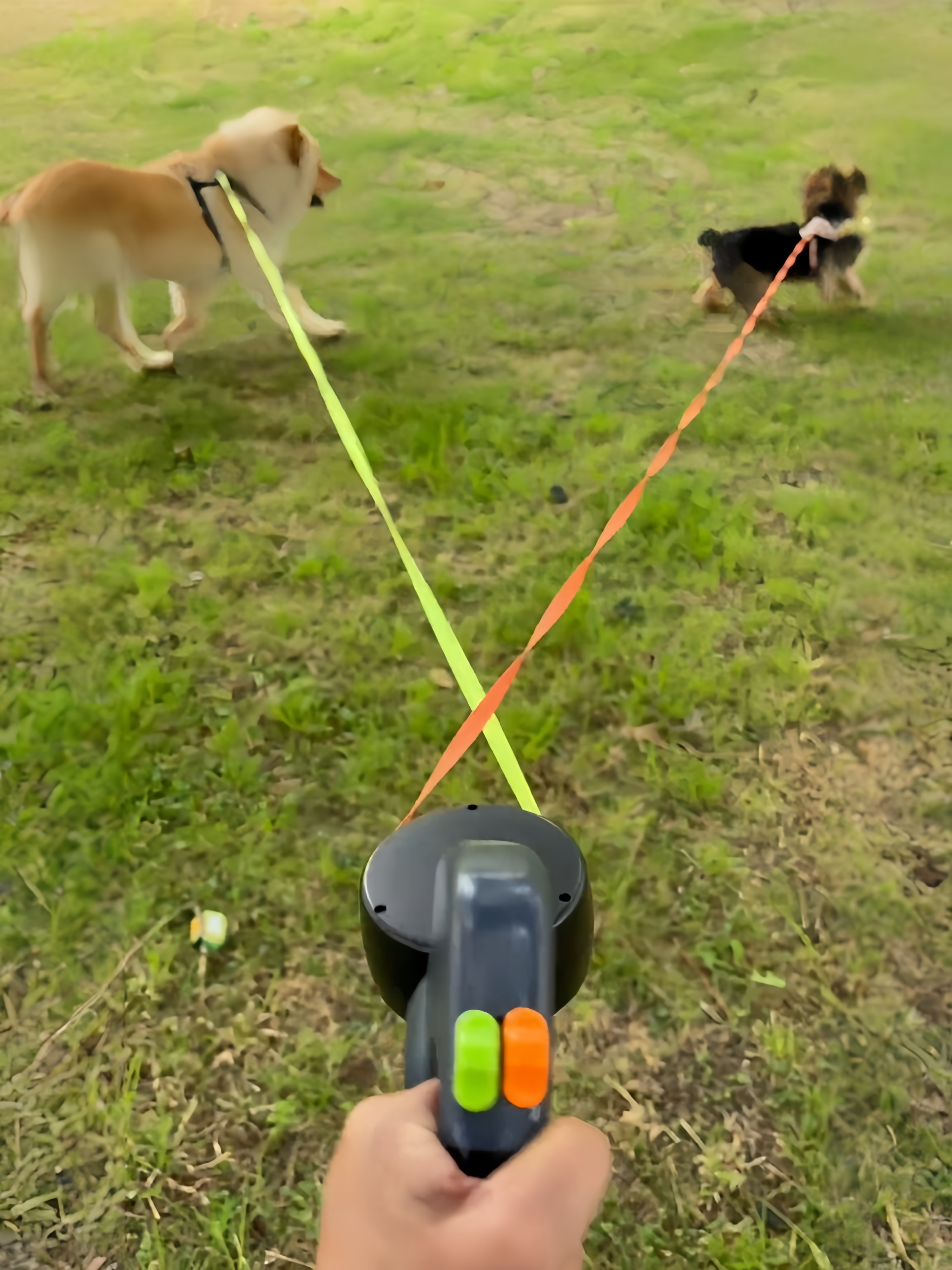 Retractable Dual Dog Leash – Anti-Tangle Double Leash for Two Dogs